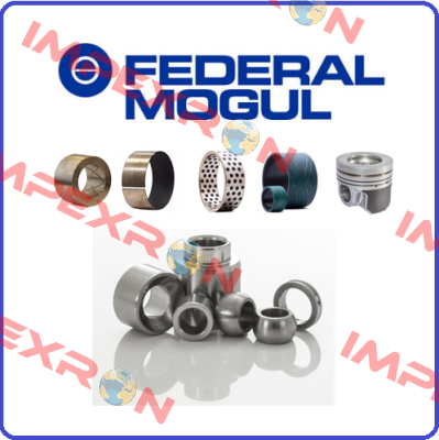 BW390  Federal Mogul