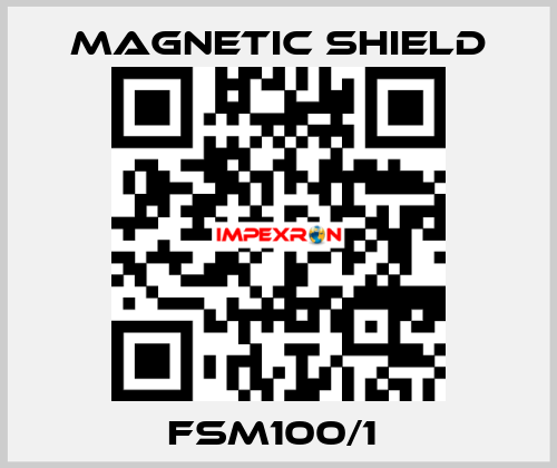 FSM100/1  Magnetic Shield