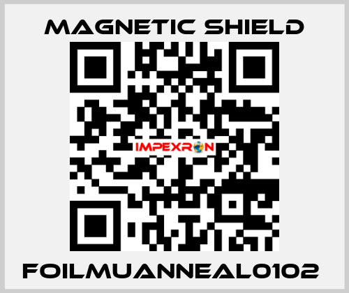 FOILMUANNEAL0102  Magnetic Shield