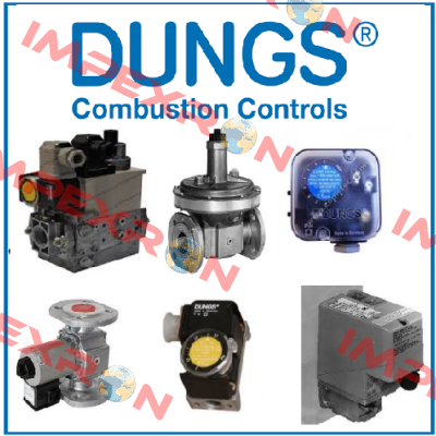 FRS 520 RP  Dungs