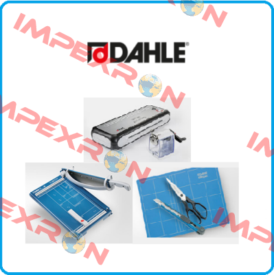 16100-53894 Dahle