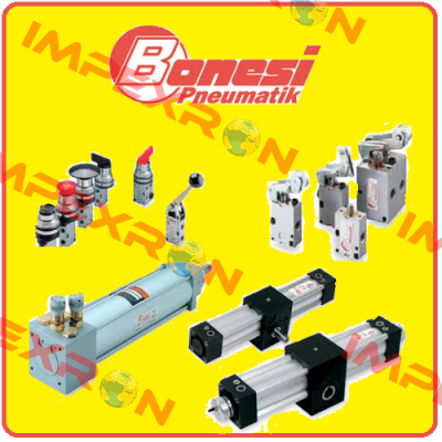 E13A8/E  Bonesi Pneumatic