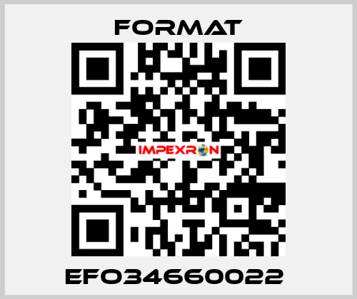 EFO34660022  Format