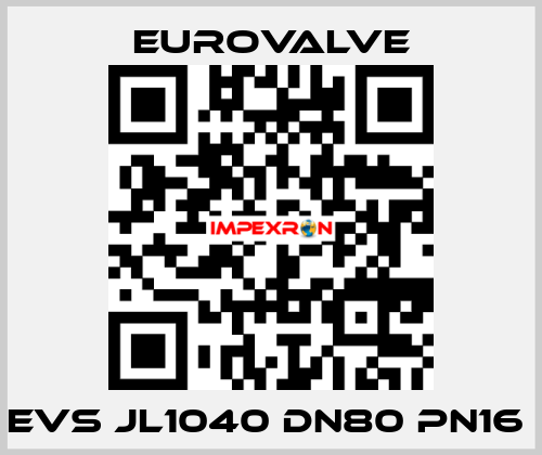 EVS JL1040 DN80 PN16  Eurovalve