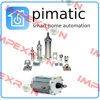 FS-0031174 FOR CYLINDER PIC-80  Pimatic