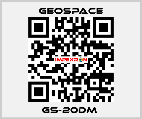 GS-20DM  GeoSpace