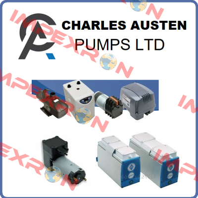 S02-044 Charles Austen Pumps