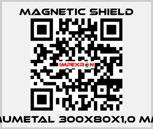 MuMETAL 300x80x1,0 mm Magnetic Shield