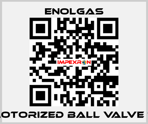 MOTORIZED BALL VALVE 1"  Enolgas