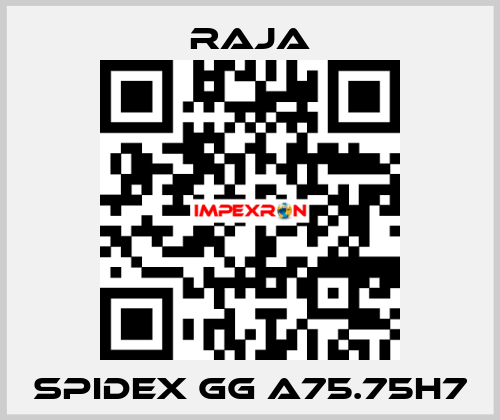 SPIDEX GG A75.75H7 Raja