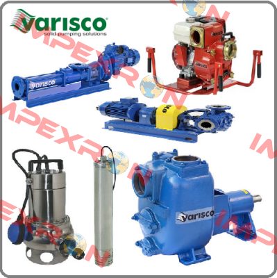 10008412 Varisco pumps