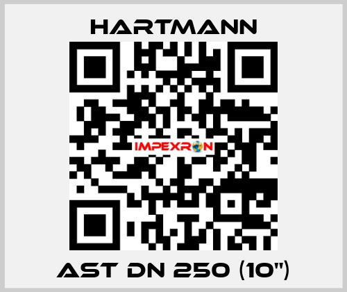 AST DN 250 (10") Hartmann