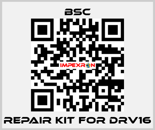 repair kit for DRV16 BSC