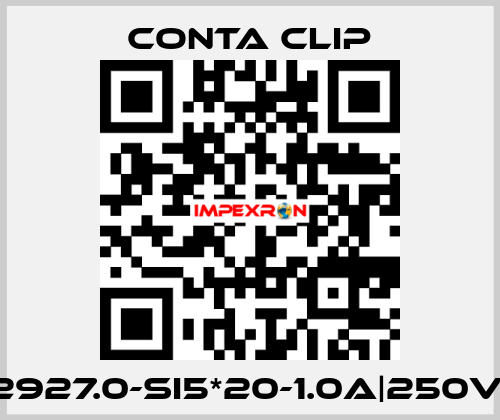 2927.0-SI5*20-1.0A|250V| Conta Clip