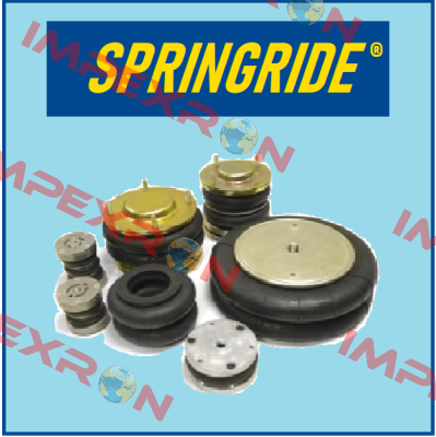 100399 Springride