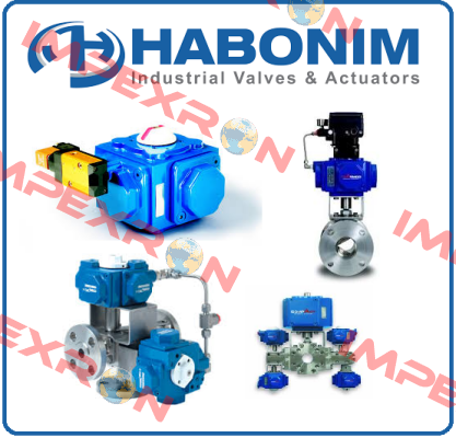 10 FH29W-66MMLHG/BSPP Habonim