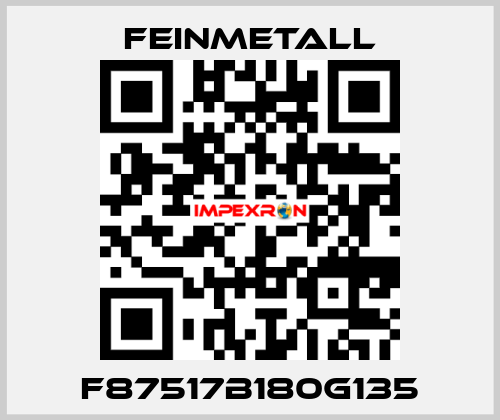 F87517B180G135 FEINMETALL