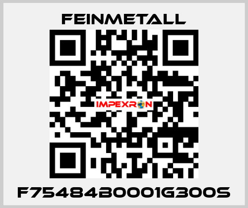 F75484B0001G300S FEINMETALL