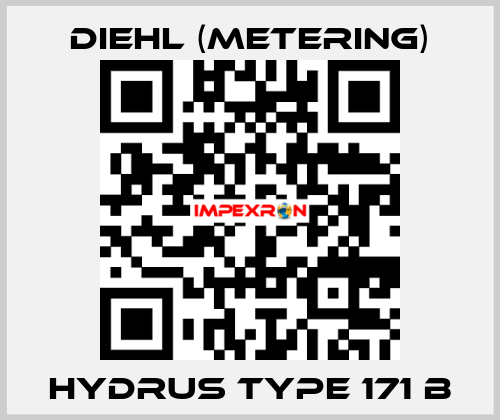 Hydrus Type 171 B Diehl (Metering)