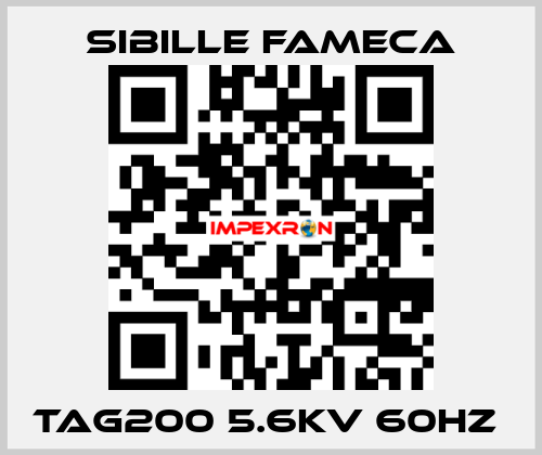 TAG200 5.6KV 60HZ  Sibille Fameca