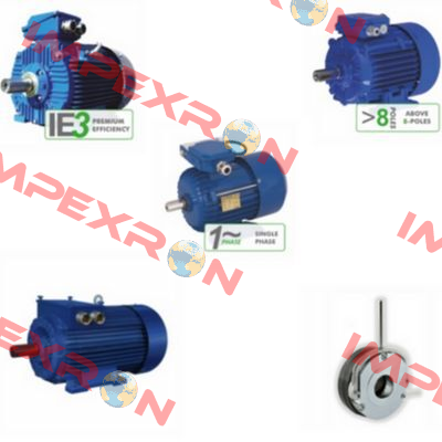 DS-Motor 2SIEK 63-4B Cantoni