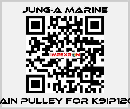 main pulley for K9IP120F JUNG-A MARINE