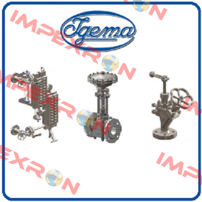 15-13060 Igema