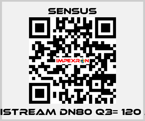 Meistream DN80 Q3= 120 m3 Sensus