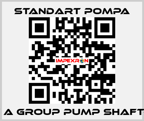 SNT A GROUP PUMP SHAFT-316 STANDART POMPA