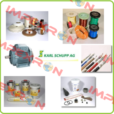 WWNSTM120 Karl Schupp AG