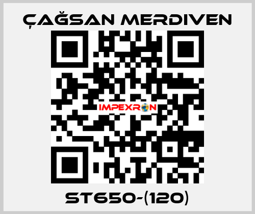 ST650-(120) Çağsan Merdiven