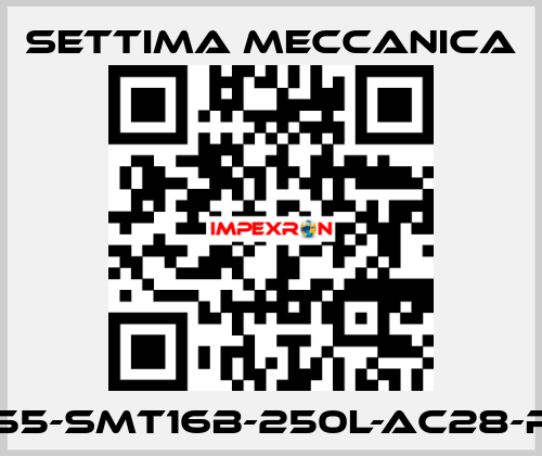 GR55-SMT16B-250L-AC28-RF2 Settima Meccanica