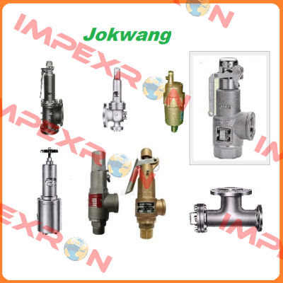 JSV-FF21 (Safety Valve) Jokwang