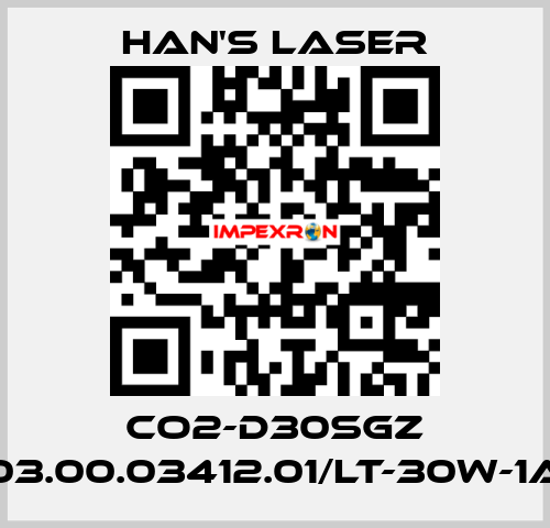 CO2-D30SGZ 03.00.03412.01/LT-30W-1A Han's Laser