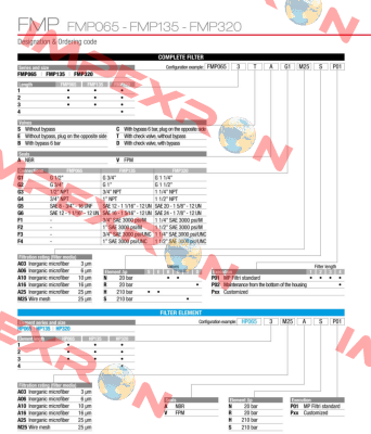 FMP-320-1-B-A-G1-A25-N-P01 MP Filtri